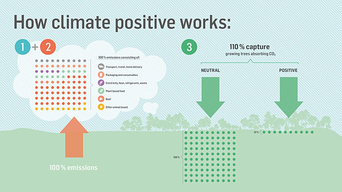 Climate-positive Burgers. How it works. Illustration.